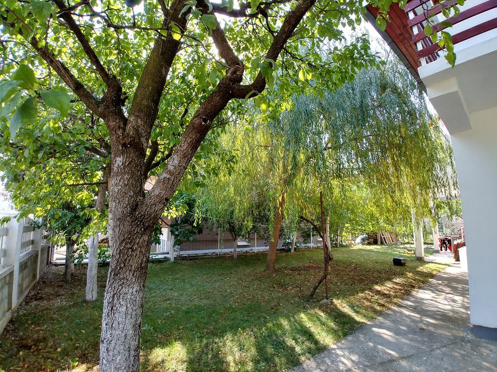 Forest Apartment Nikšić Exterior foto