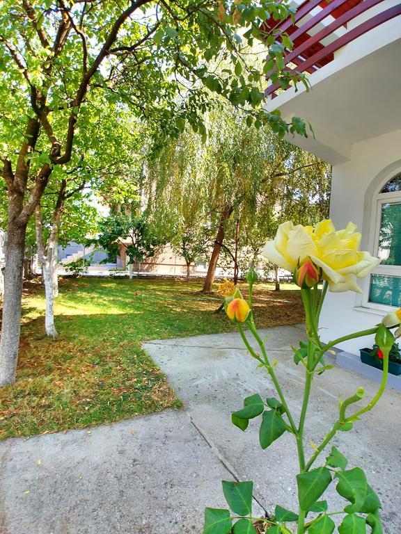 Forest Apartment Nikšić Exterior foto
